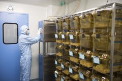 化學實驗室建設如何設計以后使用才保證安全